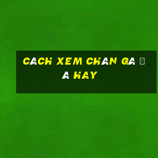 cách xem chân gà đá hay