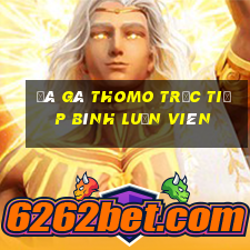 đá gà thomo trực tiếp bình luận viên