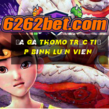 đá gà thomo trực tiếp bình luận viên