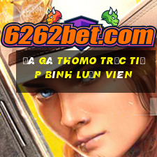 đá gà thomo trực tiếp bình luận viên