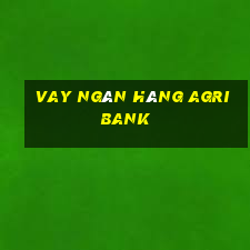 vay ngân hàng agribank