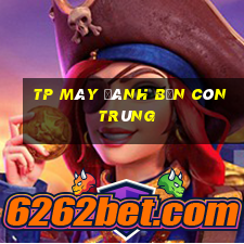 TP Máy đánh Bắn Côn Trùng