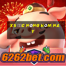 xs đắc nông hôm nay