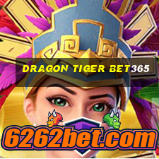 dragon tiger bet365