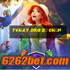 tvhay.org bị chặn