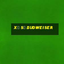 Xổ số Budweiser