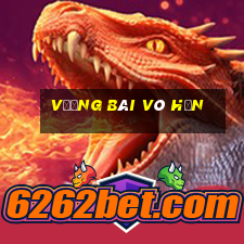 Vương bài vô hạn