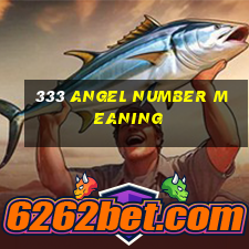 333 angel number meaning