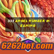 333 angel number meaning