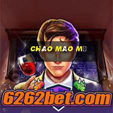 chào mào mũ