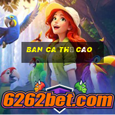 ban ca thẻ cào