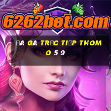 đá gà trực tiếp thomo 5 9