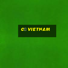 cờ vietnam