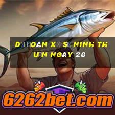 Dự Đoán Xổ Số ninh thuận ngày 20