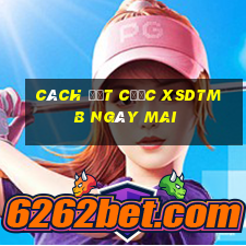 Cách đặt cược XSDTMB ngày mai