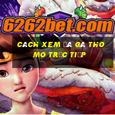 cách xem đá gà thomo trực tiếp