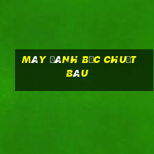 Máy đánh bạc Chuột Báu