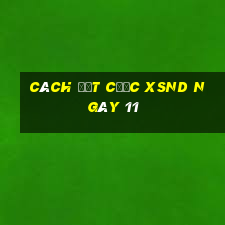 Cách đặt cược XSND ngày 11