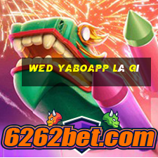 wed yaboapp là gì