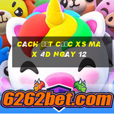 Cách đặt cược XS Max 4D ngày 12