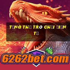 Tổng thể trò chơi điện tử