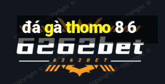 đá gà thomo 8 6