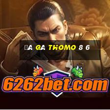 đá gà thomo 8 6