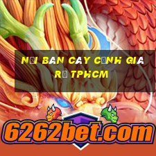 nơi bán cây cảnh giá rẻ tphcm