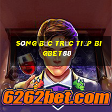 sòng bạc trực tiếp bigbet88