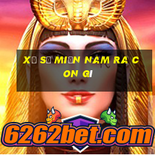 xổ số miền nam ra con gì