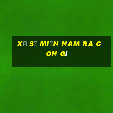 xổ số miền nam ra con gì