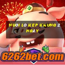 nuôi lô kep khung 2 ngày