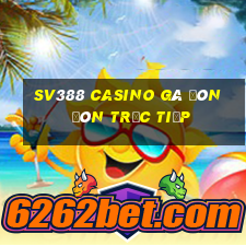 sv388 casino gà đòn đòn trực tiếp