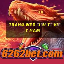 Trang web điện tử Việt nam