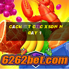 Cách đặt cược XSDN ngày 1