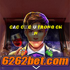 các cước ù trong chắn