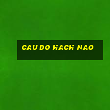 cau do hach nao