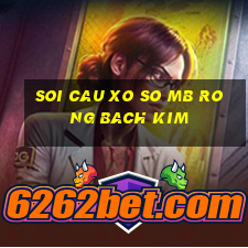 soi cau xo so mb rong bach kim