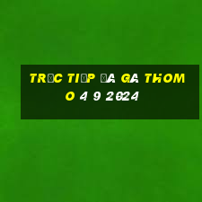 trực tiếp đá gà thomo 4 9 2024