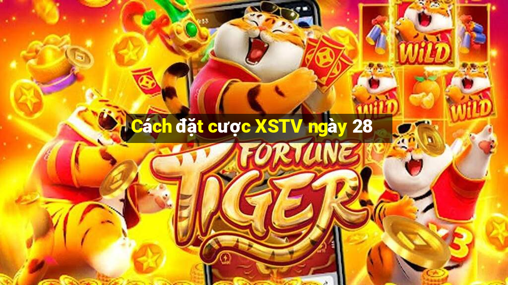 Cách đặt cược XSTV ngày 28