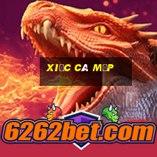 xiếc cá mập