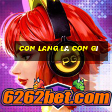 con lang là con gì