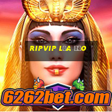 Ripvip Lừa Đảo