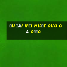 Ưu đãi mới nhất cho cá cược