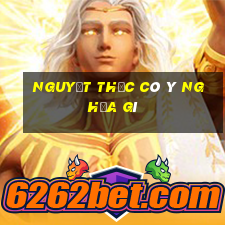 nguyệt thực có ý nghĩa gì