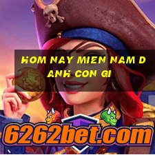 hom nay mien nam danh con gi