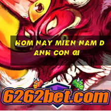 hom nay mien nam danh con gi