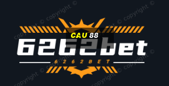 cau 88