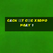 Cách đặt cược XSDNO ngày 1