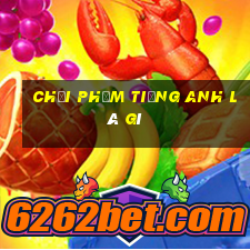 chơi phỏm tiếng anh là gì